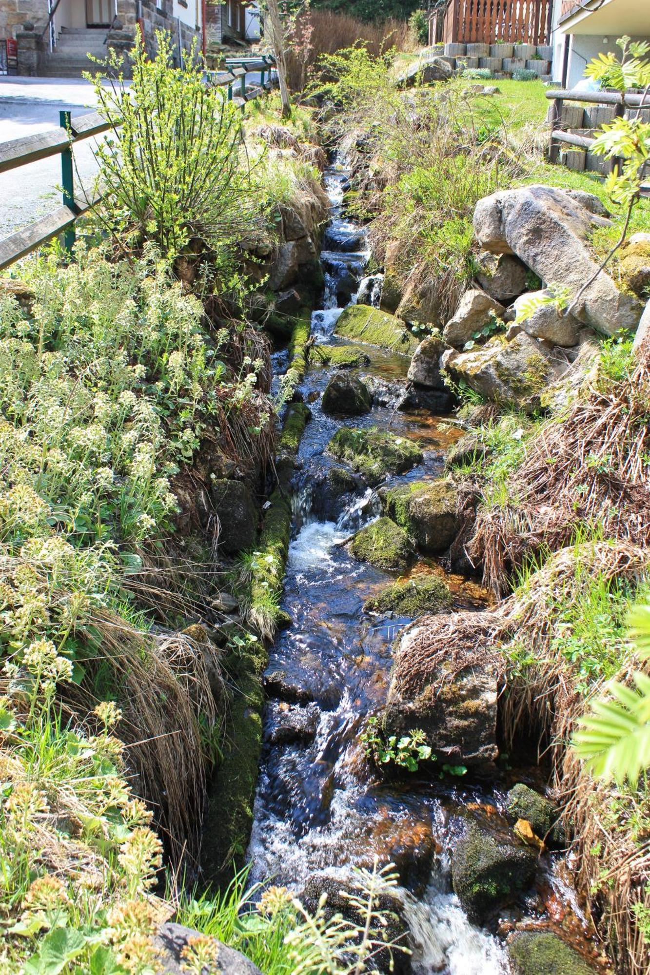 Ferienanlage Zum Wildbach Schierke Eksteriør bilde